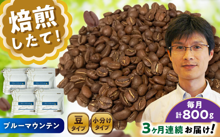 【全3回定期便】ブルーマウンテンNo.1 コーヒー豆 200g×4個 (豆) / 珈琲 コーヒー 豆 / 瀬戸市 / Ｃｏｆｆｅｅ　ＳＡＫＵＲＡ [BBAB083] 豆