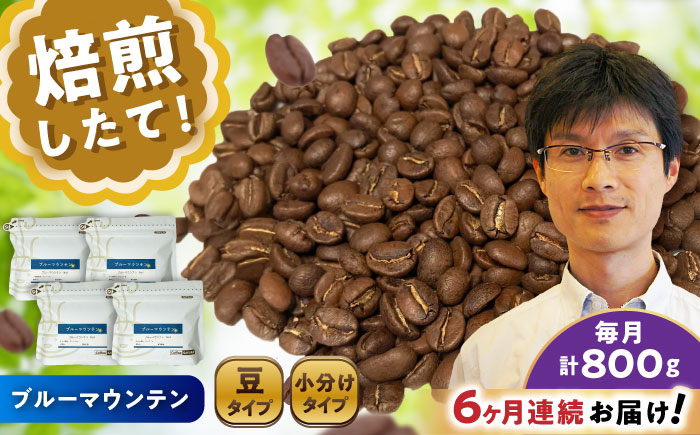【全6回定期便】ブルーマウンテンNo.1 コーヒー豆 200g×4個 (豆) / 珈琲 コーヒー 豆 / 瀬戸市 / Ｃｏｆｆｅｅ　ＳＡＫＵＲＡ [BBAB084] 豆
