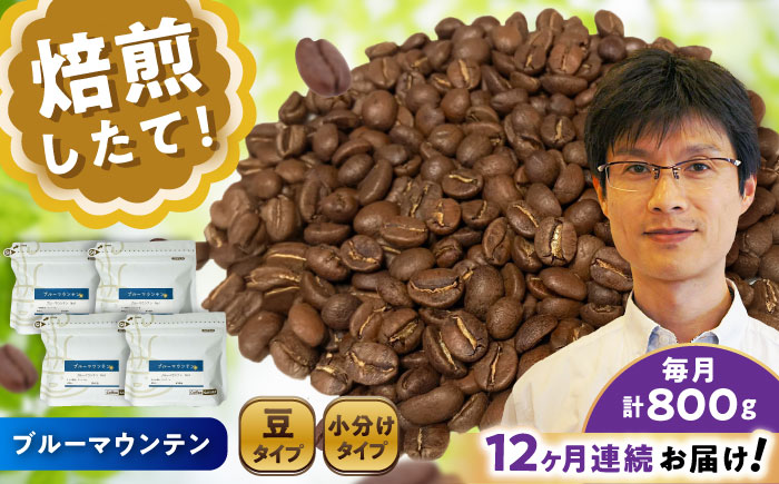 【全12回定期便】ブルーマウンテンNo.1 コーヒー豆 200g×4個 (豆) / 珈琲 コーヒー 豆 / 瀬戸市 / Ｃｏｆｆｅｅ　ＳＡＫＵＲＡ [BBAB085] 豆