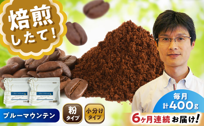 【全6回定期便】ブルーマウンテンNo.1 コーヒー粉 200g×2個 (粉/中挽き) / 珈琲 コーヒー 粉 / 瀬戸市 / Ｃｏｆｆｅｅ　ＳＡＫＵＲＡ [BBAB088] 粉