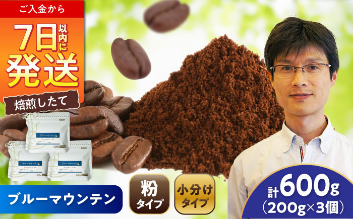 ブルーマウンテンNo.1 コーヒー粉 200g×3個 (粉/中挽き) / 珈琲 コーヒー 粉 / 瀬戸市 / Ｃｏｆｆｅｅ　ＳＡＫＵＲＡ [BBAB090] 【粉】600g