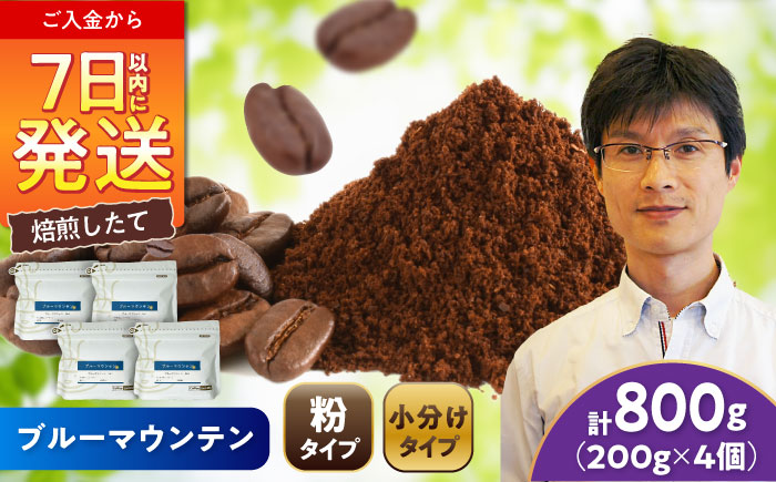 ブルーマウンテンNo.1 コーヒー粉 200g×4個 (粉/中挽き) / 珈琲 コーヒー 粉 / 瀬戸市 / Ｃｏｆｆｅｅ　ＳＡＫＵＲＡ [BBAB094] 【粉】800g