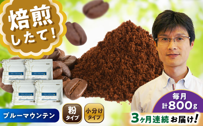 【全3回定期便】ブルーマウンテンNo.1 コーヒー粉 200g×4個 (粉/中挽き) / 珈琲 コーヒー 粉 / 瀬戸市 / Ｃｏｆｆｅｅ　ＳＡＫＵＲＡ [BBAB095] 粉