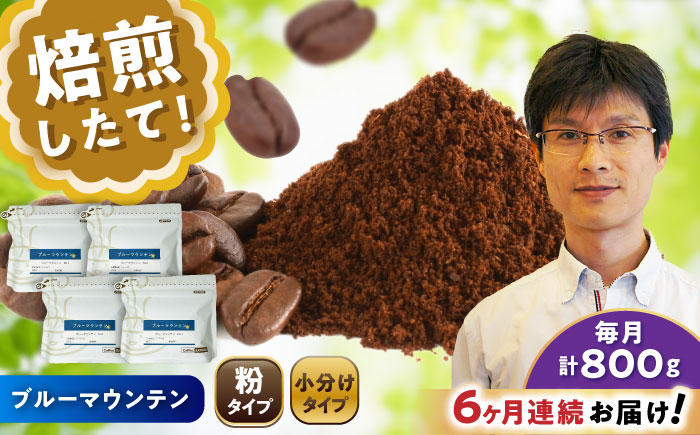 【全6回定期便】ブルーマウンテンNo.1 コーヒー粉 200g×4個 (粉/中挽き) / 珈琲 コーヒー 粉 / 瀬戸市 / Ｃｏｆｆｅｅ　ＳＡＫＵＲＡ [BBAB096] 粉