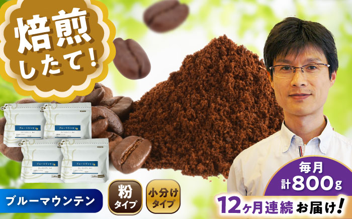 【全12回定期便】ブルーマウンテンNo.1 コーヒー粉 200g×4個 (粉/中挽き) / 珈琲 コーヒー 粉 / 瀬戸市 / Ｃｏｆｆｅｅ　ＳＡＫＵＲＡ [BBAB097] 粉