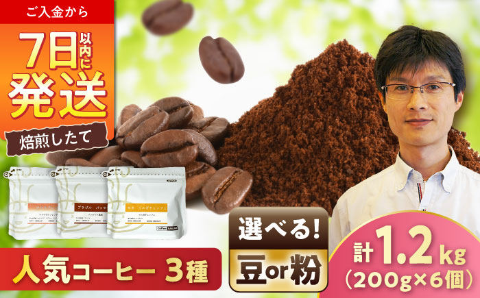 【店主厳選】人気コーヒー 3種セット（粉） / 珈琲 コーヒー / 瀬戸市 / Ｃｏｆｆｅｅ　ＳＡＫＵＲＡ [BBAB149] 粉