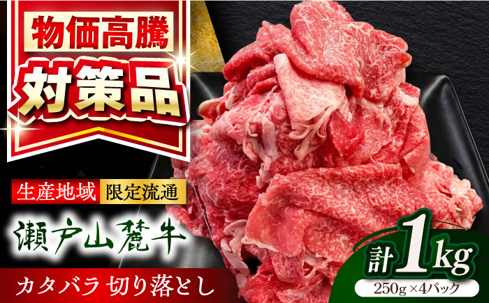 瀬戸山麓牛カタバラ切落し1kg（250g×4P）/ 牛肉 国産 冷凍 小分け / 瀬戸市 / 関屋精肉店 [BBBQ025]