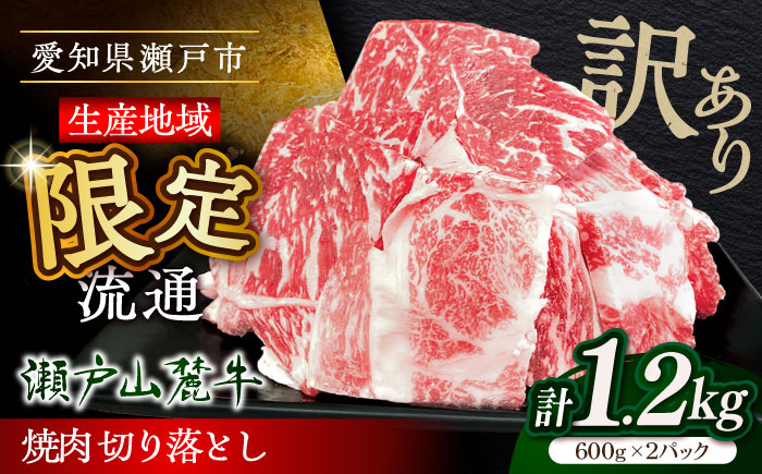 【訳あり】瀬戸山麓牛焼肉用切落し1.2kg / 牛肉 お肉 国産 冷凍 / 瀬戸市 / 関屋精肉店 [BBBQ046]