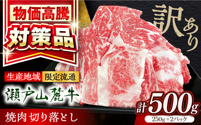 【訳あり】瀬戸山麓牛焼肉用切落し500g（250g×2P）/ 牛肉 お肉 国産 冷凍 / 瀬戸市 / 関屋精肉店 [BBBQ047]