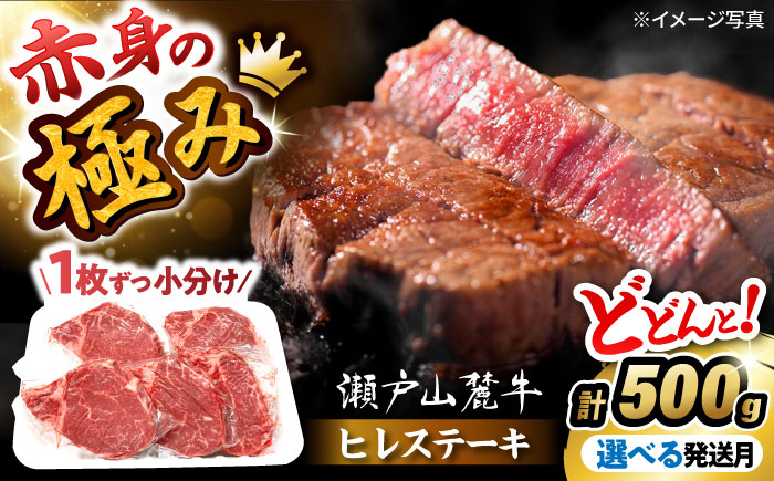希少部位 瀬戸山麓牛 ヒレステーキ 500g(100g×5) / 牛肉 ステーキ 牛ステーキ 和牛 ヒレ ヒレ肉 ヒレステーキ / 瀬戸市 /合資会社関屋精肉店 [BBBQ057]
