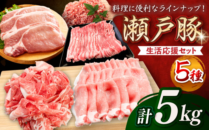 瀬戸豚 生活応援セット 計5kg / 豚肉 小分け しゃぶしゃぶ セット / 瀬戸市 / 関屋精肉店 [BBBQ160]