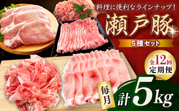 【全12回定期便】瀬戸豚 生活応援セット 計5kg / 豚肉 小分け しゃぶしゃぶ セット / 瀬戸市 / 関屋精肉店 [BBBQ218]