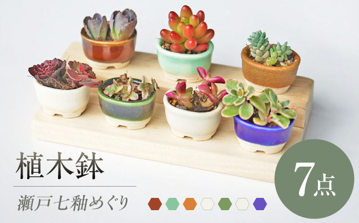 【瀬戸焼】 植木鉢 瀬戸七釉めぐり 7点 / 瀬戸市 / 【文山製陶所】 / 植木鉢 陶器 プランター 植物 鉢 [BBCG003]