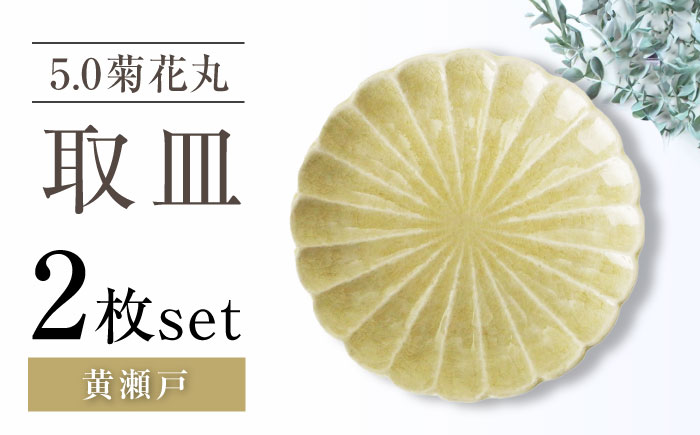 【瀬戸焼】5.0菊花丸取皿 黄瀬戸 2枚セット 【ヤマハツクリタ株式会社】 / 食器 和食器 丸皿 / 瀬戸市 [BBDV023] 黄瀬戸