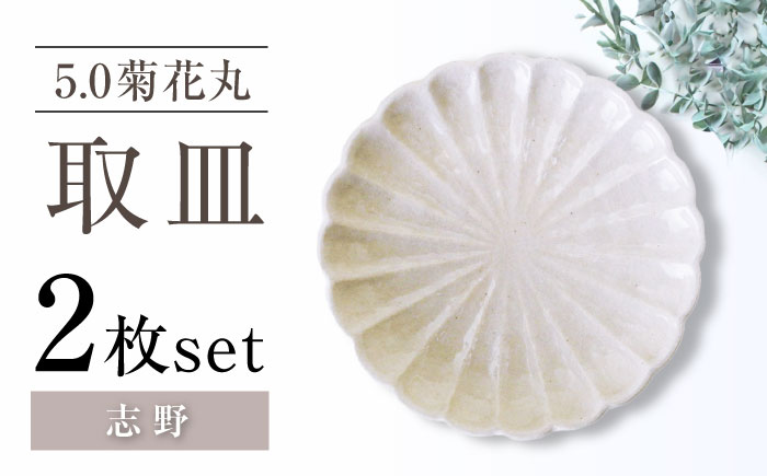 【瀬戸焼】5.0菊花丸取皿 志野 2枚セット 【ヤマハツクリタ株式会社】 / 食器 和食器 丸皿 / 瀬戸市 [BBDV024] 志野
