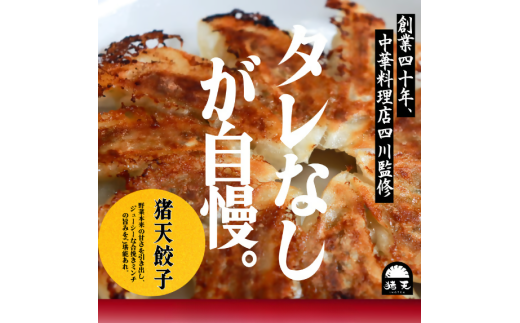 【12ヶ月定期便】春日井の中華料理店四川監修タレなし生餃子「猪天餃子」 12ヶ月コース