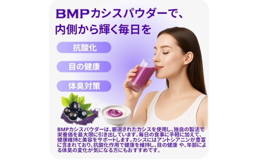 BMP カシスパウダー 2kg（100g×20袋）（カシス濃縮果汁粉末）