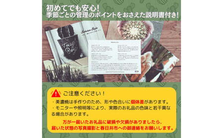 多治見市×春日井市コラボ 【美濃焼】 陶芸家「北川和喜」 marble 丸深鉢 L × 【日本有数のサボテン産地】 春日井市の名店 後藤サボテン