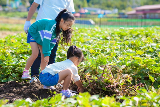 手ぶらで気軽に「農」に触れることができる！ あい農パーク春日井施設利用券【6,000円分】