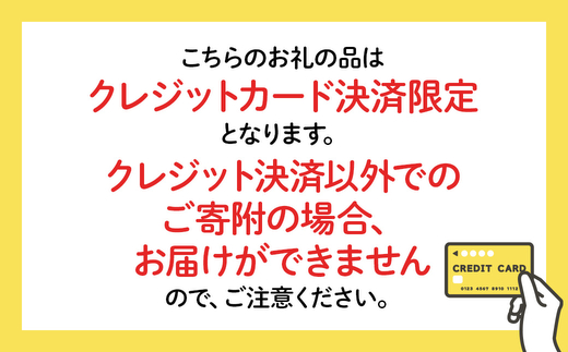 ★クリスマスケーキ★ ノエル・ド・フロマージュ ※北海道・沖縄・離島への配送不可
