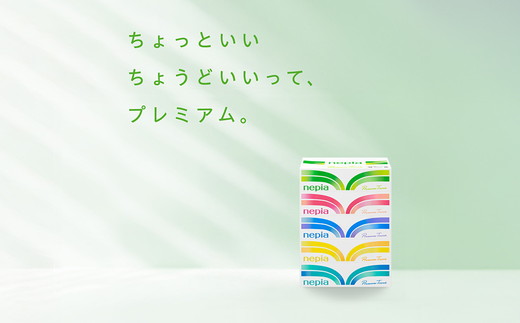 【年内配送】ネピアティシュ５箱×12パック