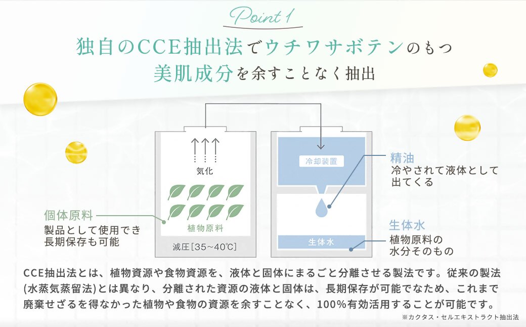 フィエナ カークビボーセラム 27ml