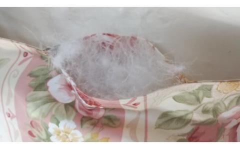 フランス産ホワイトダック90%羽毛布団　シングルサイズ（60サテン）　無地クリーム