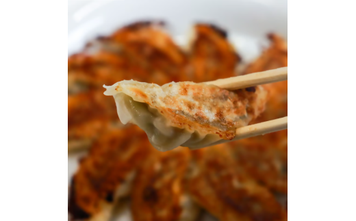 春日井の中華料理店四川監修タレなし生餃子「猪天餃子」