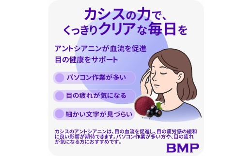 BMP カシスパウダー 2kg（100g×20袋）（カシス濃縮果汁粉末）