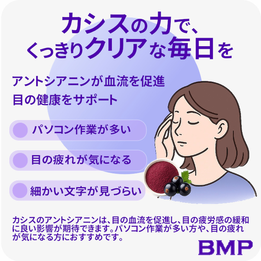 BMP カシスパウダー1kg（100g×10袋）（カシス濃縮果汁粉末）