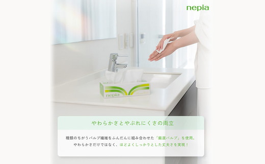 【年内配送】ネピアティシュ５箱×12パック