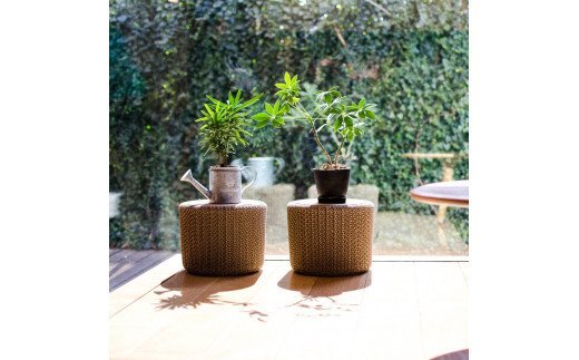 組立てスツール「Corncob Stool」