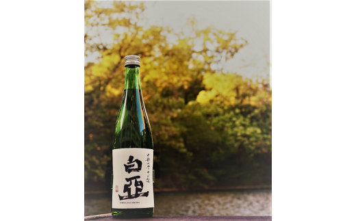 【令和７年新酒】中部大学のお酒「白亞」（日本酒）１本