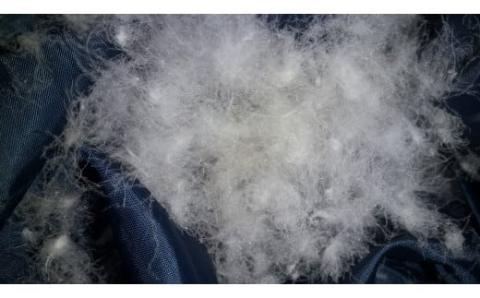 ポーランドホワイトグース羽毛布団（パイピング付き）　シングルサイズ　24763ベージュ