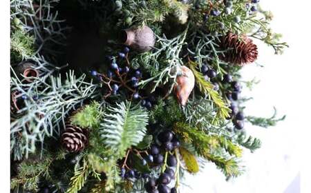 Xmas限定　クリスマスリース Φ40 【12/18まで受付】生花 ドライフラワー 観葉植物 Xmas 季節限定 数量限定 送料無料 長持ち リビング 玄関 ダイニング キャンドル ※2025年11月下旬頃より順次発送予定