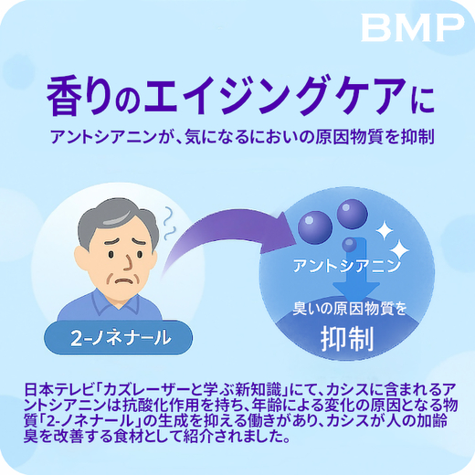 BMP カシスパウダー1kg（100g×10袋）（カシス濃縮果汁粉末）