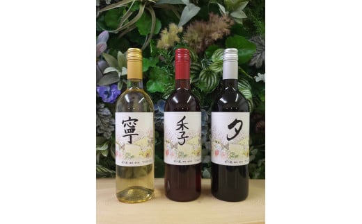 春日井ワイナリ－春の風 赤・白・ロゼ3本セットワイン 各750ml