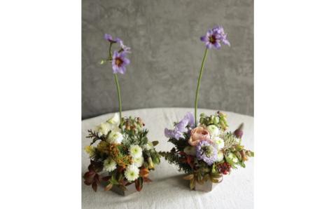 ■お正月限定■[ お任せ ]新春フラワーアレンジメント ※2025年12月下旬に順次発送予定 ※12月31日までにお届け