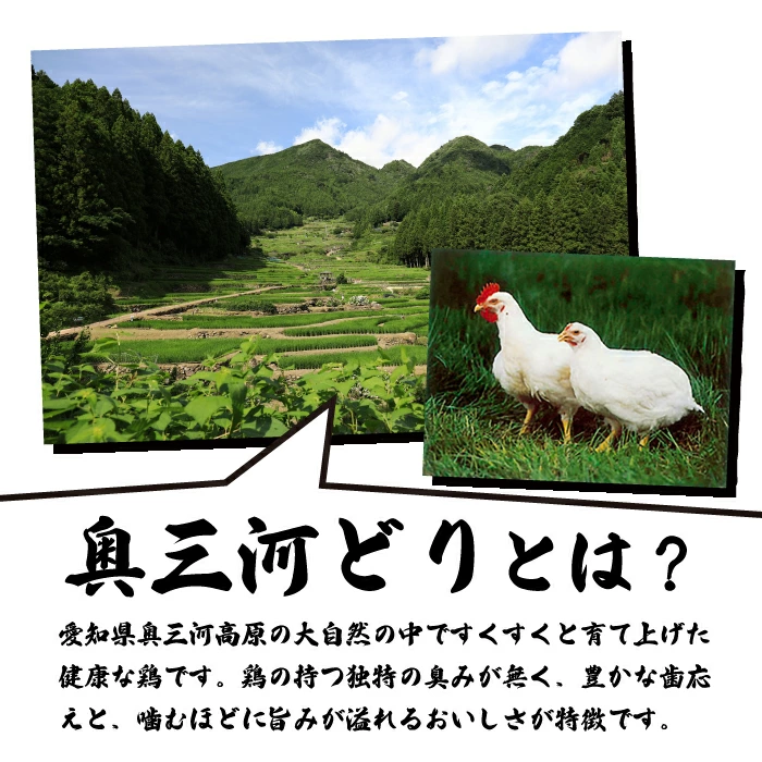 【調理済】奥三河どりの串焼き（なんこつ・ハツ・砂肝・鶏かわ・ホルモン）各5本 合計25本