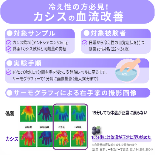 BMP カシスパウダー1kg（100g×10袋）（カシス濃縮果汁粉末）