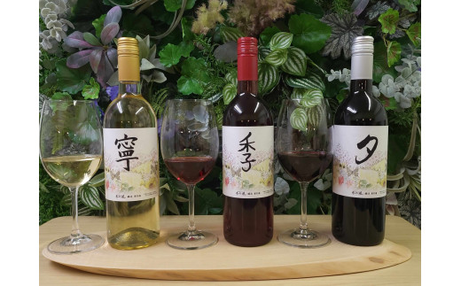 春日井ワイナリ－春の風 赤・白・ロゼ3本セットワイン 各750ml