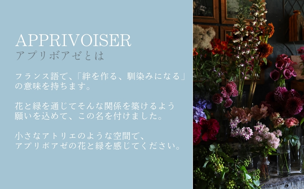 【定期便】季節の切り花セットS（６ヶ月間毎月お届け）