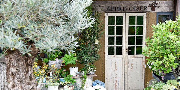 可愛らしいプリザーブドフラワー