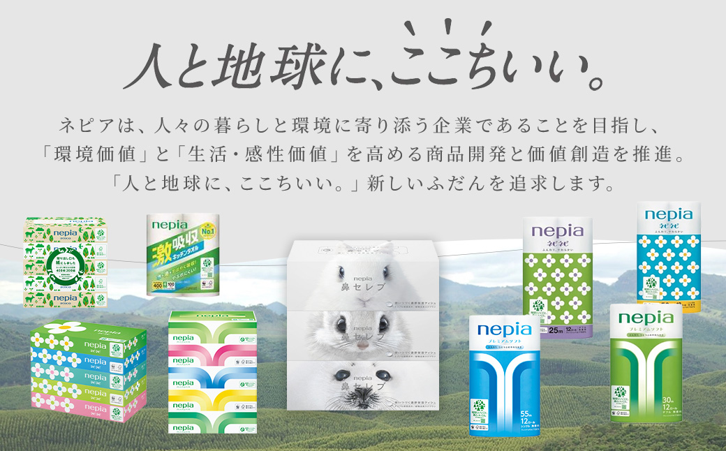 【年内配送】ネピア鼻セレブティシュ3箱×10パック
