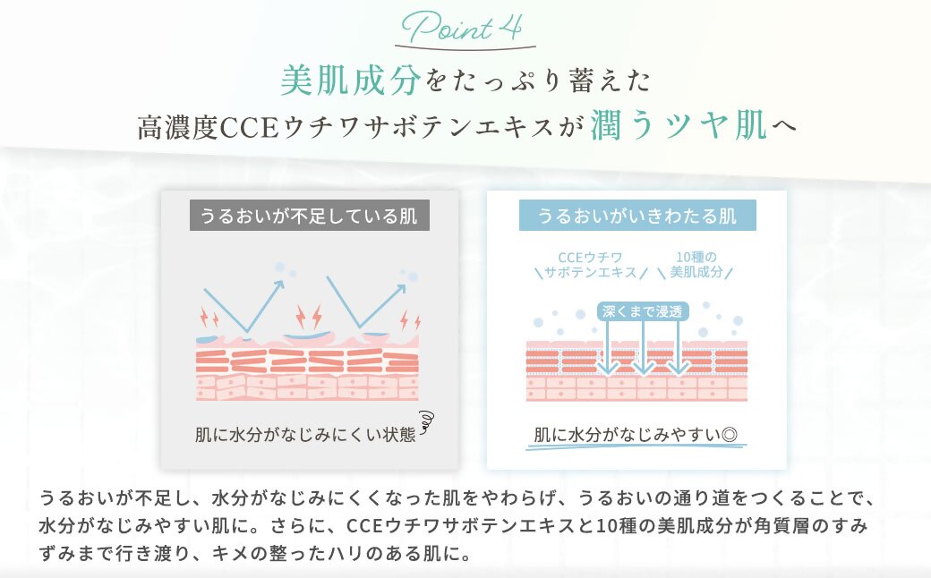 フィエナ カークビボーセラム 27ml