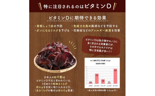 春日井産　乾燥きくらげ2種セット10袋（ホール・スライス）