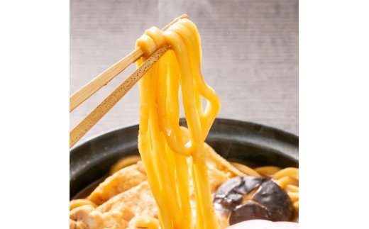 かわべ麺 生みそ煮込みうどん 8袋 合計16食入り合計約2.5kg（1袋2食入り：320g めん120g×2・みそ40g×2) | 名古屋めし お取り寄せ ギフト グルメ コシ のどごし 国産 お歳暮 味噌 味噌煮込 赤みそ 赤味噌 生麺 生めん 麺類 食品 冷蔵 愛知県 春日井市