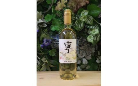 春日井ワイナリ－春の風 (寧)デラウェア 白ワイン 750ml