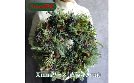 Xmas限定　クリスマスリース Φ40 【12/18まで受付】生花 ドライフラワー 観葉植物 Xmas 季節限定 数量限定 送料無料 長持ち リビング 玄関 ダイニング キャンドル ※2025年11月下旬頃より順次発送予定