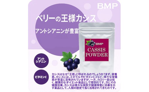 BMP カシスパウダー 500g（100g×5袋）（カシス濃縮果汁粉末）